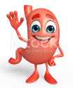 stock-photo-49222768-cartoon-character-of-stomach-with-hello-pose.jpg