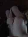 received_198083137217603.jpg