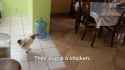 giphy-facebook_s.jpg