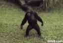 giphy (23).gif