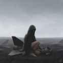 shwedoff-fallenbirds.jpg