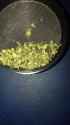 weedinmygrinder.jpg