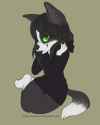 FB_IMG_1453988798987.jpg