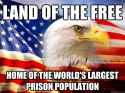 land of the free.jpg