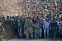 slovenia-welcome-committee.jpg