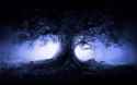 cool_design_desktop_wallpaper__857_.jpg