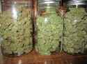 stash.jpg