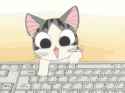 IMG_0453.gif