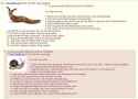 youmademedownloadit.jpg