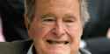 bush.jpg