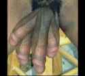 timthumb.php.jpg
