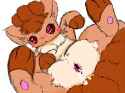 Vulpix34.jpg