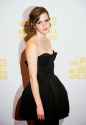 Emma Watson photo.filmcelebritiesactresses.blogspot-050.jpg