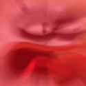 Overam_20160924_151628.jpg