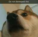 1473177544982.png