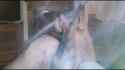 Screenshot_2016-02-26-12-27-46.png