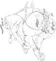 6_2.gif