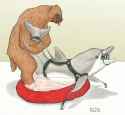37886 - Society_for_Creative_Anachronism Strega dolphin featured_image mascots sloth.jpg