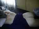 DSC00022.jpg