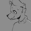 k9.png