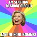 hillary -take me home harambe.jpg
