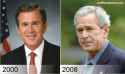 Bush.jpg