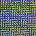 1398659992444.jpg