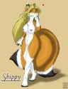 1237863609.nateday_shippy.jpg
