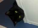 20141004_125742.jpg