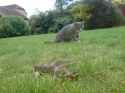 DSC00010.jpg