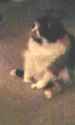 IMG9520160925495092408.jpg
