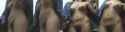 vlcsnap-2014-01-27-07h56m23s142.jpg