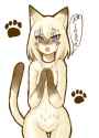 kittyplease.jpg