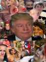 Trump says thread is brown bread.jpg