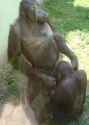 enjoyingblackdick.jpg