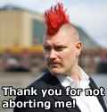 aborting.jpg