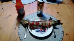 ketfish.png