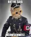 meowschwitz.jpg
