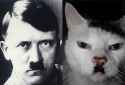 my pics 111.jpg