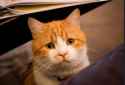 my pics 158.jpg