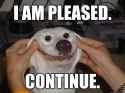 pleased.jpg