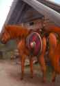 1473922517.lizardlars_horselars.jpg