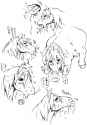 Epona Legend_of_Zelda Link (4).png