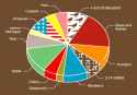 Pie Pie Chart.gif