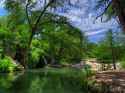 krause springs.jpg