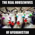 Real wives.jpg