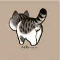 cat2.gif
