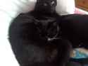received_1270705842964400.jpg