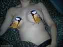 Great Tits2.jpg