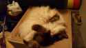 20161001_074244.jpg